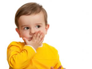 Характеристика уровней общего недоразвития речи у детей: симпотмы и коррекция ОНР Речь ребенка с онр 2 уровня